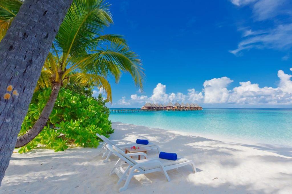 Angaga Island Resort & Spa Image
